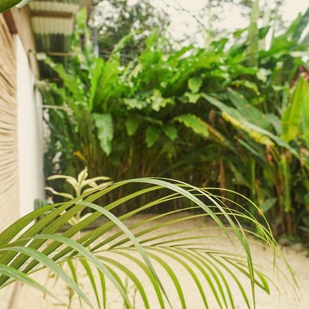 Gala Apts Playa Santa Teresa  エクステリア 写真