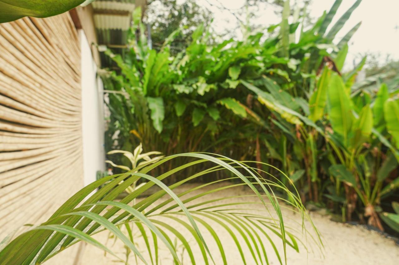 Gala Apts Playa Santa Teresa  エクステリア 写真
