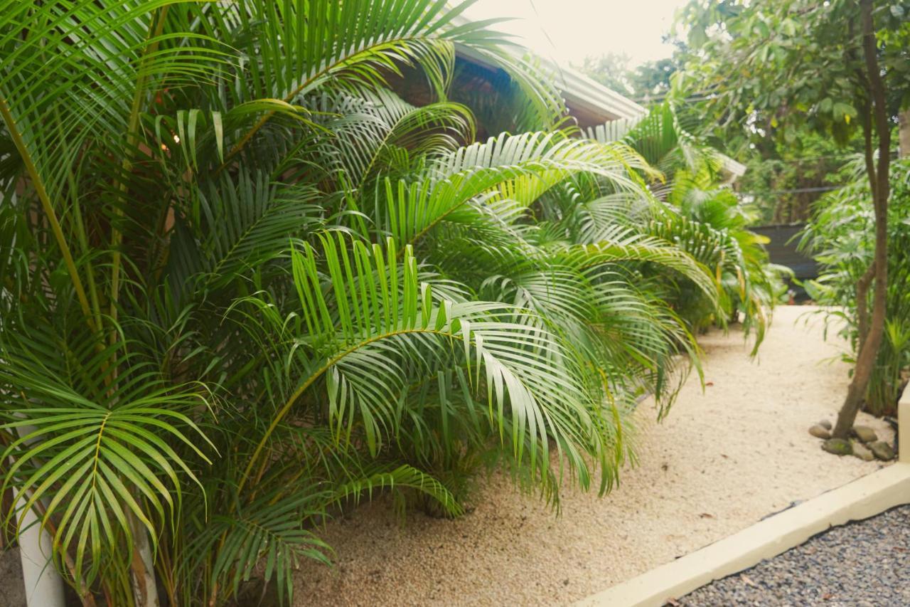 Gala Apts Playa Santa Teresa  エクステリア 写真