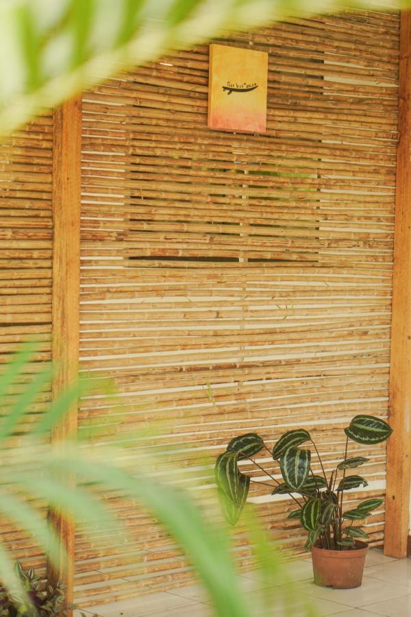 Gala Apts Playa Santa Teresa  エクステリア 写真